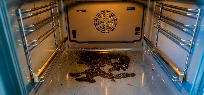 Our Dryer Vent Mold Cleaning Services in West Columbia, SC