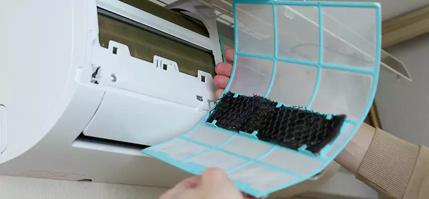 Gentle Ductwork Odor-Control Pet Dander Duct Cleaning in West Columbia, SC