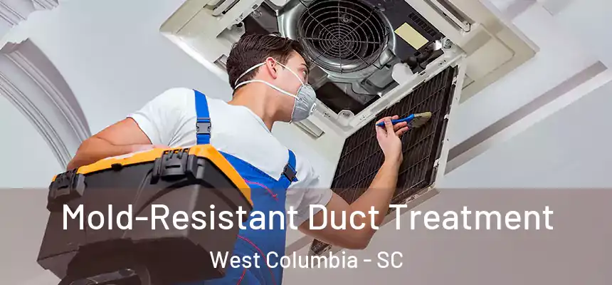  Mold-Resistant Duct Treatment West Columbia - SC