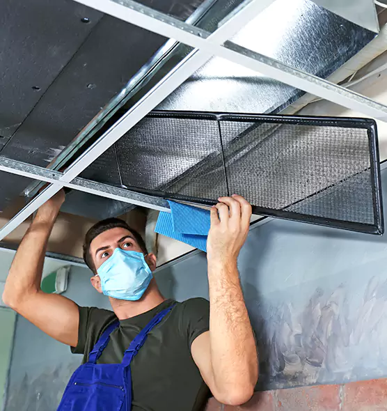 About Air Duct Bacteria Removal in West Columbia
