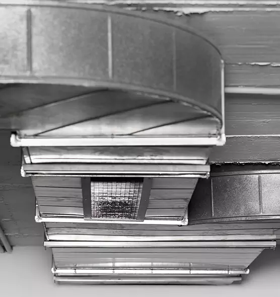 Professional Air Duct Pest Removal in West Columbia, SC