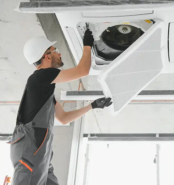 About Air Duct Rodent Removal in West Columbia, SC