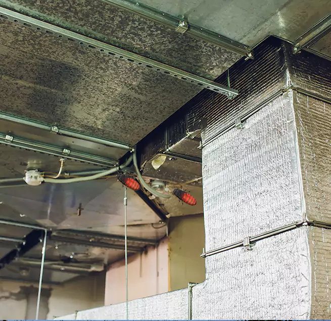 Why Homeowners & Businesses Trust Us West Columbia, SC?