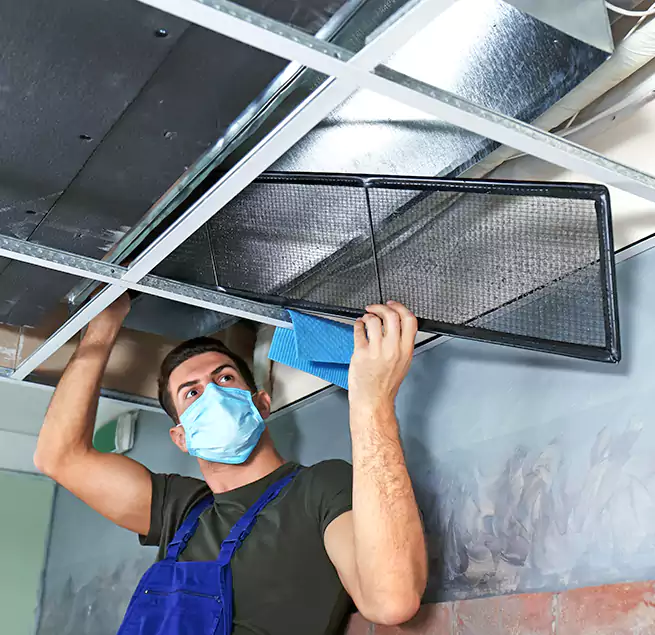 Why Homeowners Businesses Trust Us in West Columbia, SC